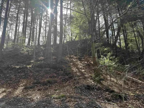 603 Anderson Drive Hubbardton VT 05743