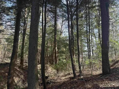 603 Anderson Drive Hubbardton VT 05743