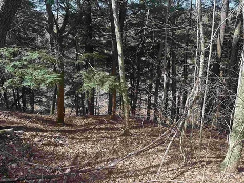 603 Anderson Drive Hubbardton VT 05743