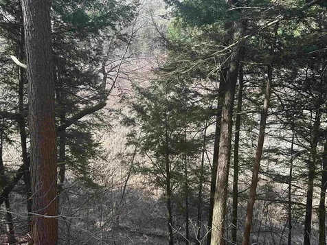 603 Anderson Drive Hubbardton VT 05743