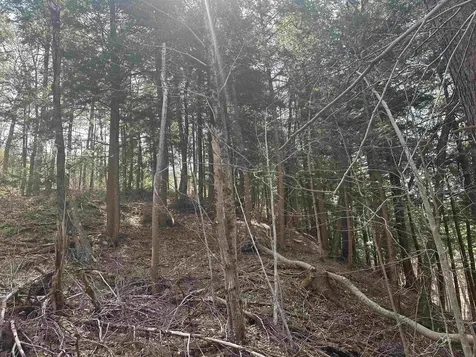 603 Anderson Drive Hubbardton VT 05743