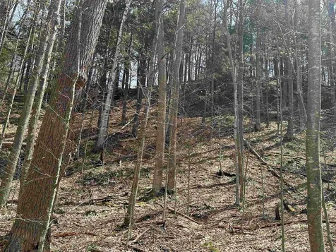 603 Anderson Drive Hubbardton VT 05743