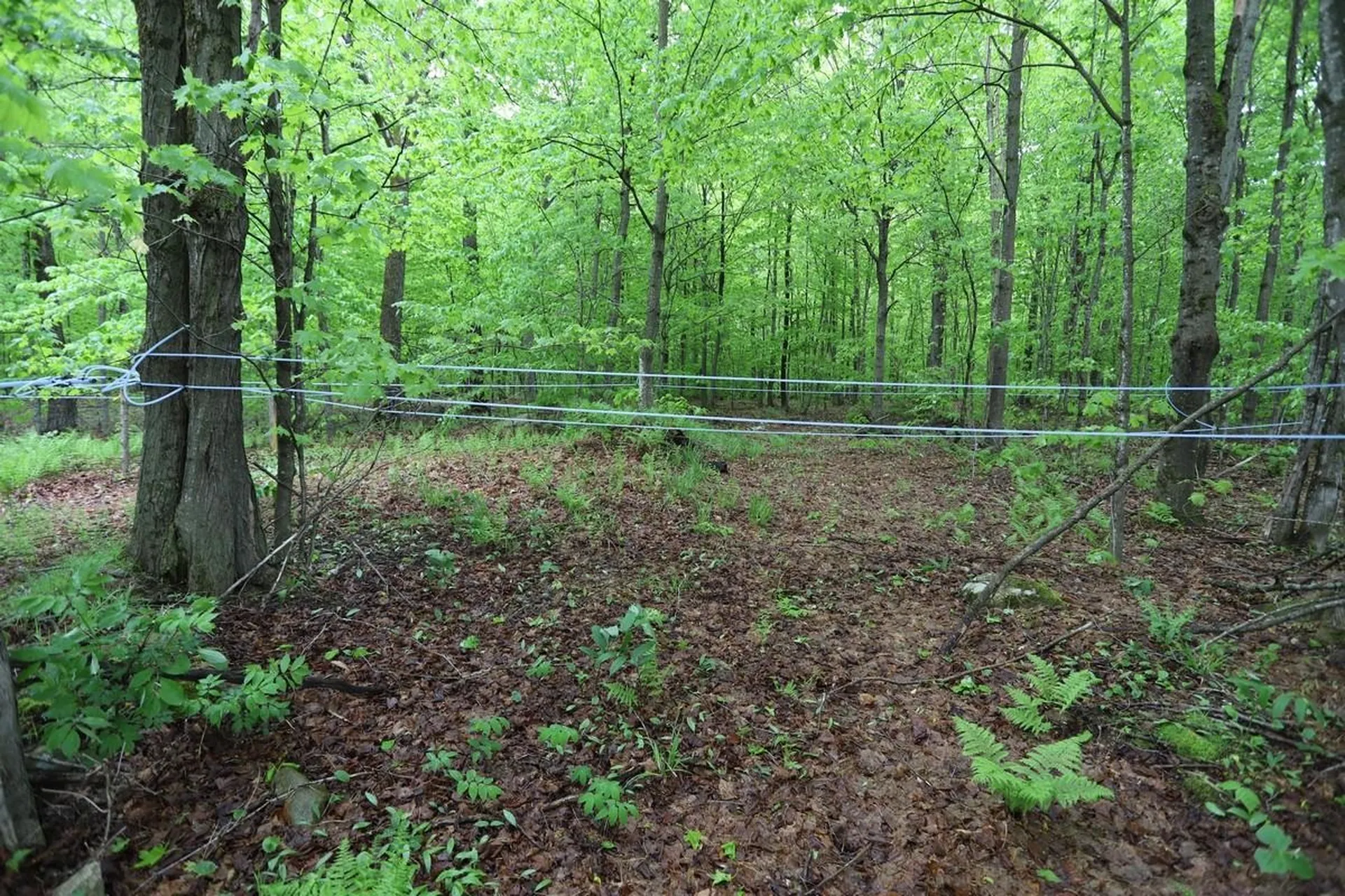 760 Spencer Hill Road Coventry VT 05825