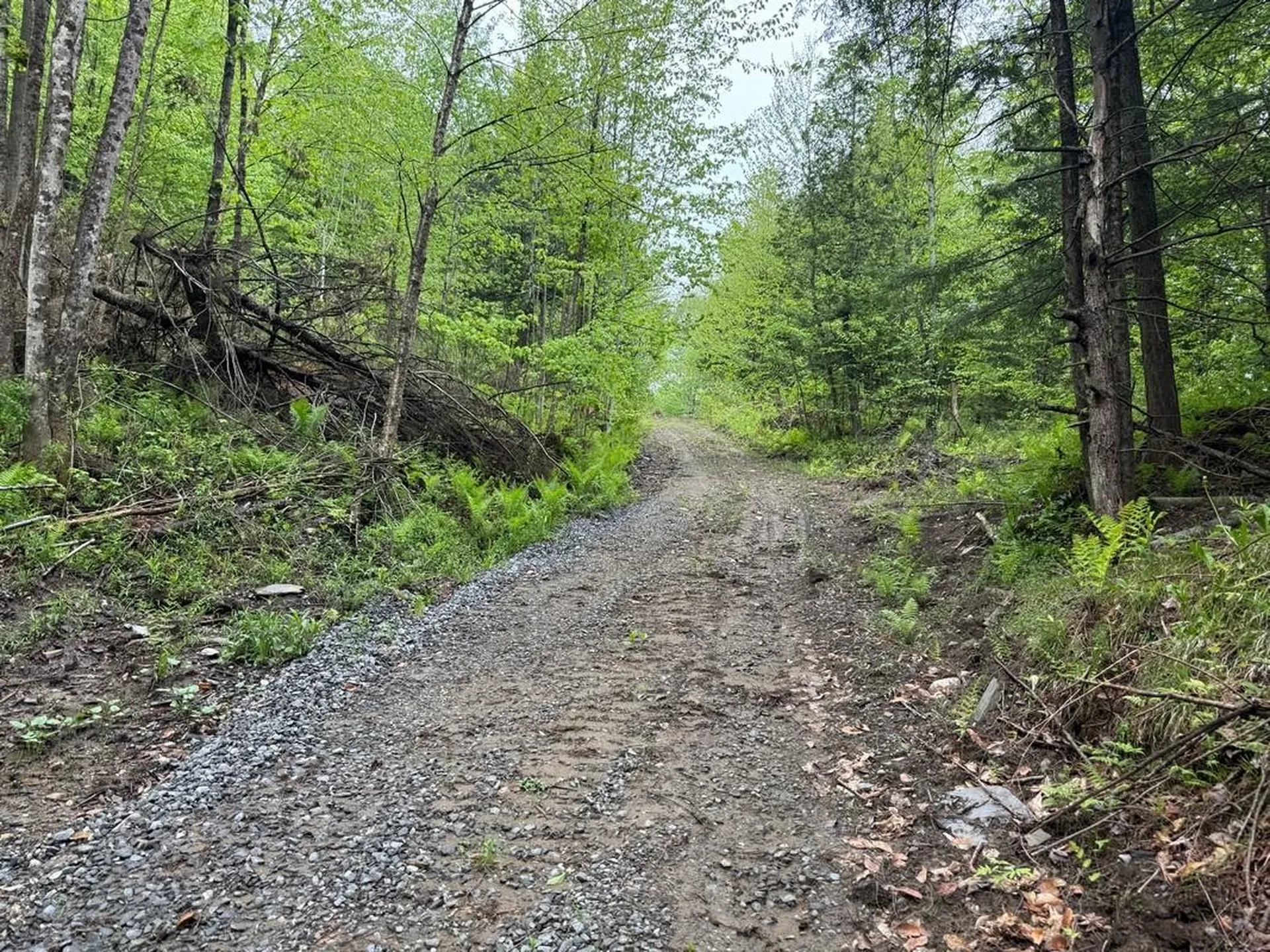 760 Spencer Hill Road Coventry VT 05825