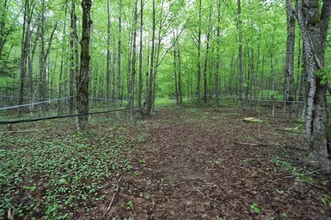 760 Spencer Hill Road Coventry VT 05825