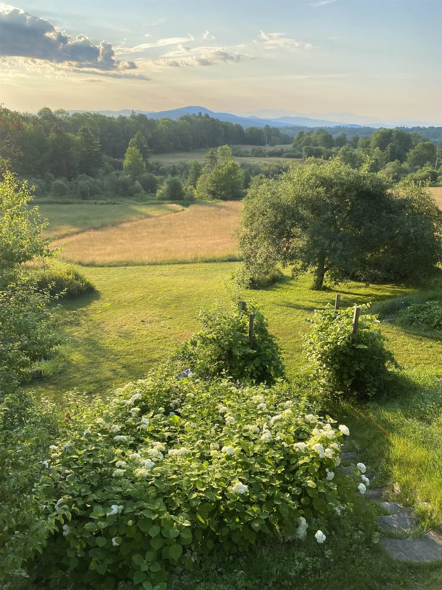 304 Green Bay Loop Peacham VT 05862