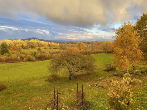 304 Green Bay Loop Peacham VT 05862