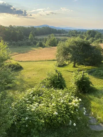 304 Green Bay Loop Peacham VT 05862