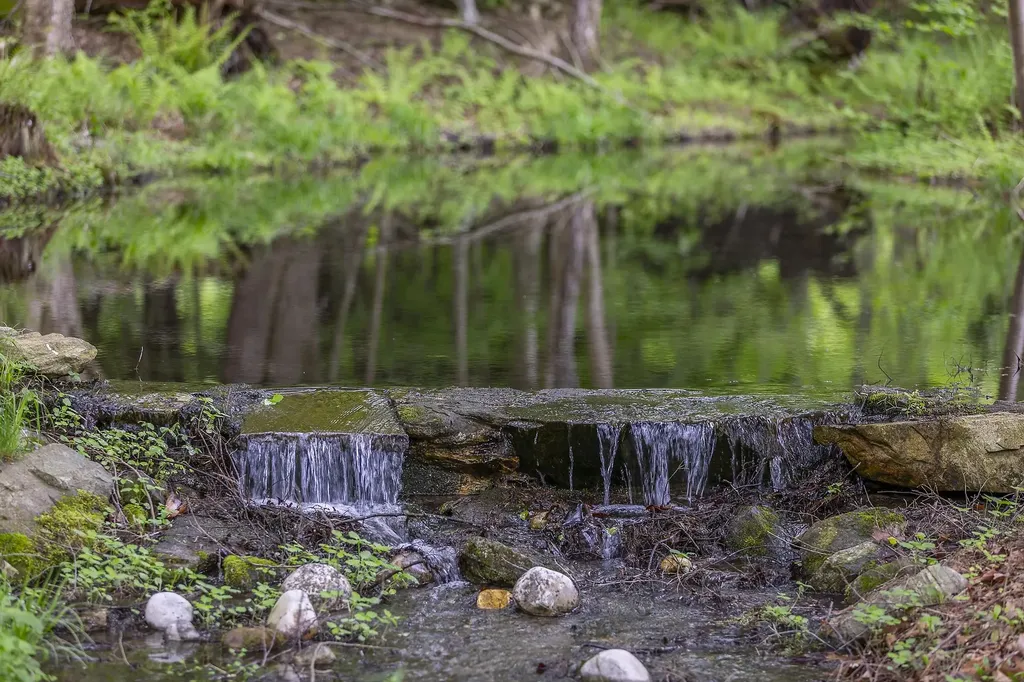 390 Tiffany Lane Pawlet VT 05761