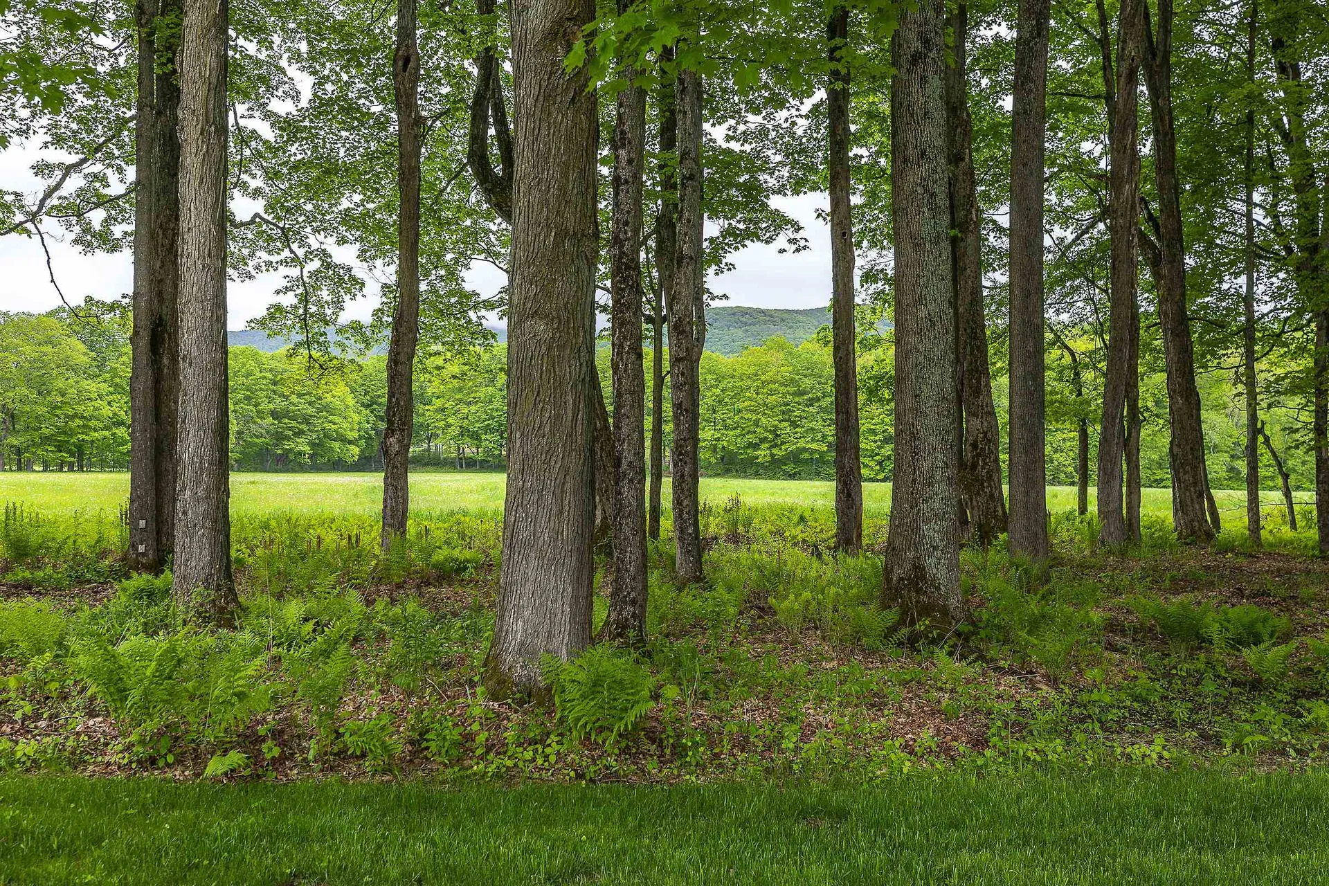 390 Tiffany Lane Pawlet VT 05761