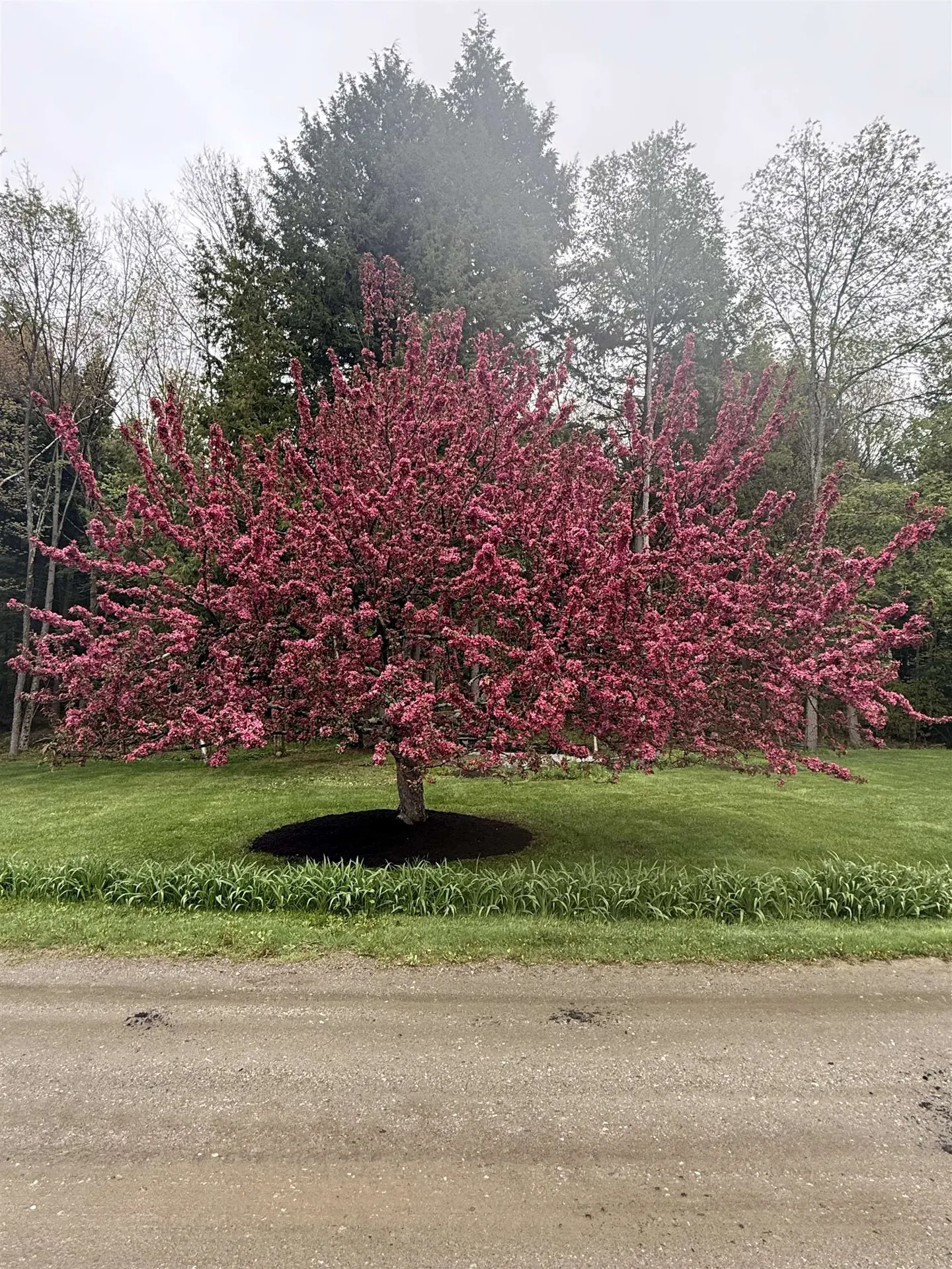 390 Tiffany Lane Pawlet VT 05761