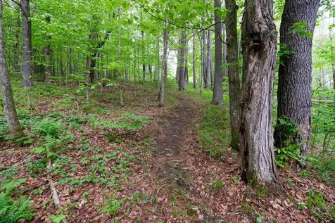 539 Route 155 Mount Holly VT 05742