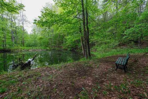 539 Route 155 Mount Holly VT 05742