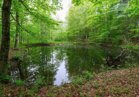 539 Route 155 Mount Holly VT 05742
