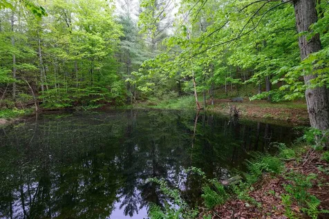 539 Route 155 Mount Holly VT 05742
