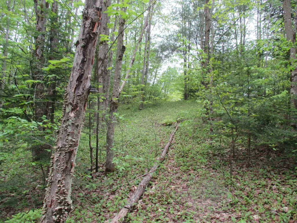 Kettle Farm Road Westfield VT 05874