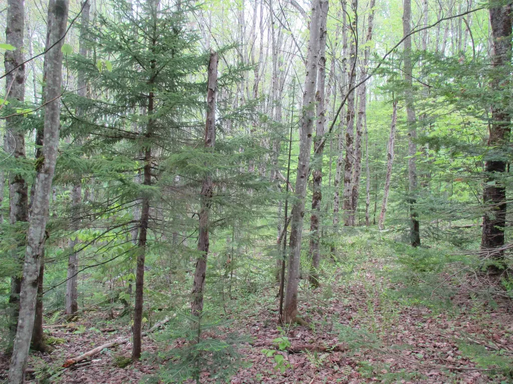 Kettle Farm Road Westfield VT 05874