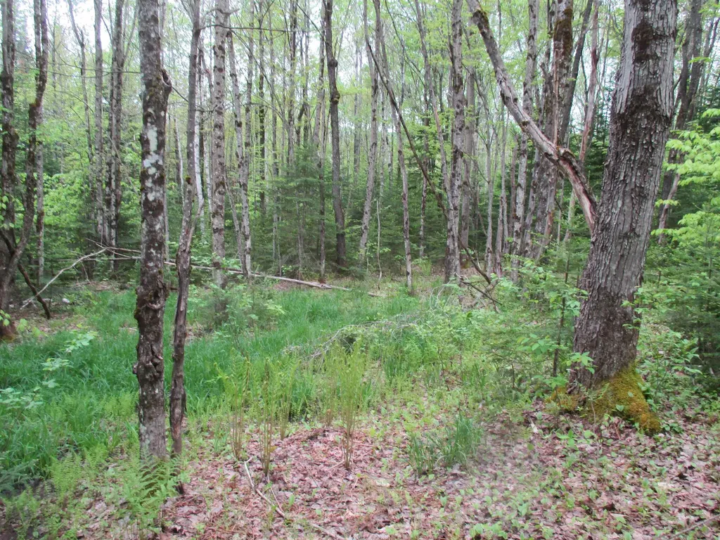 Kettle Farm Road Westfield VT 05874