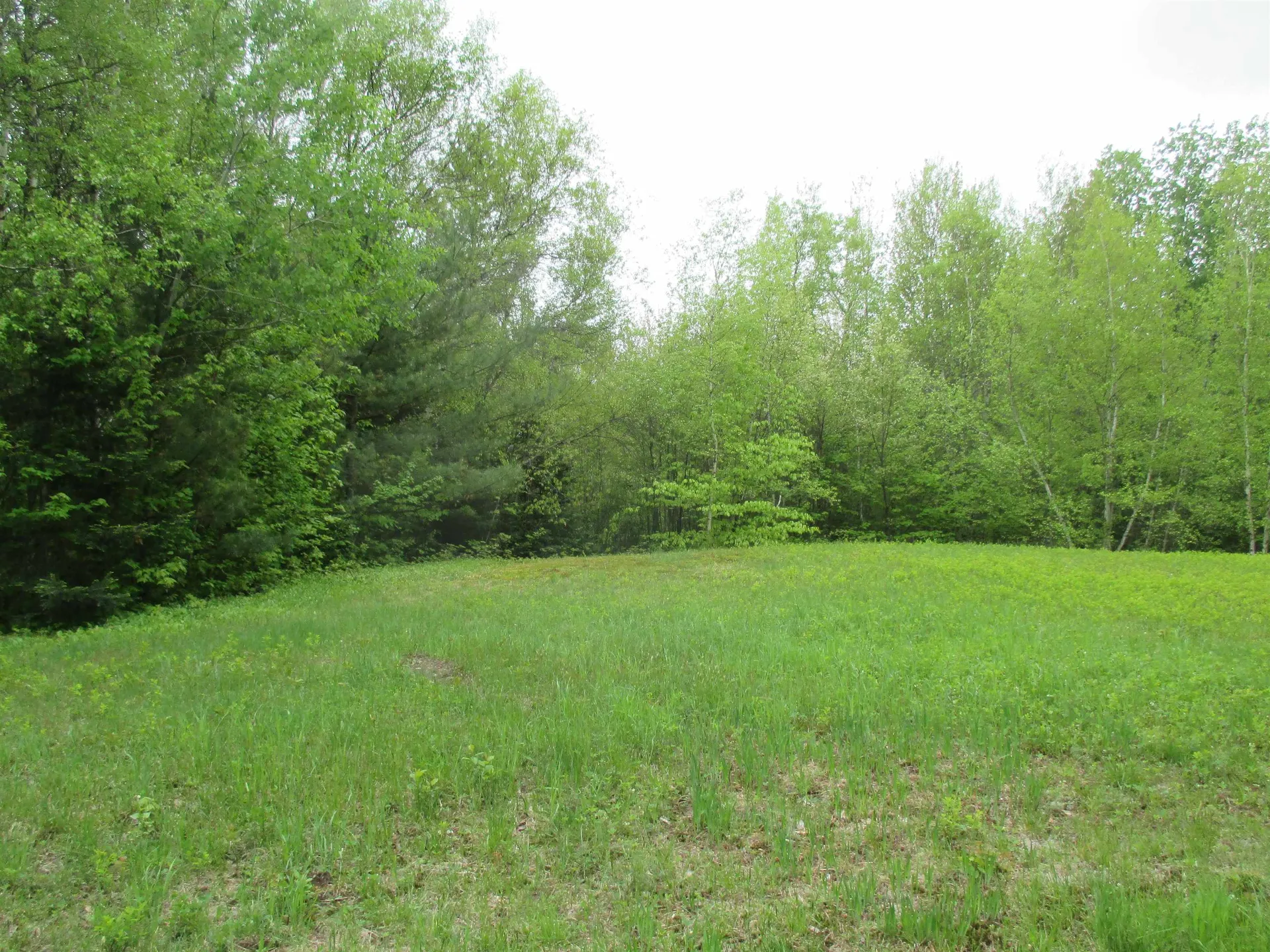 Kettle Farm Road Westfield VT 05874