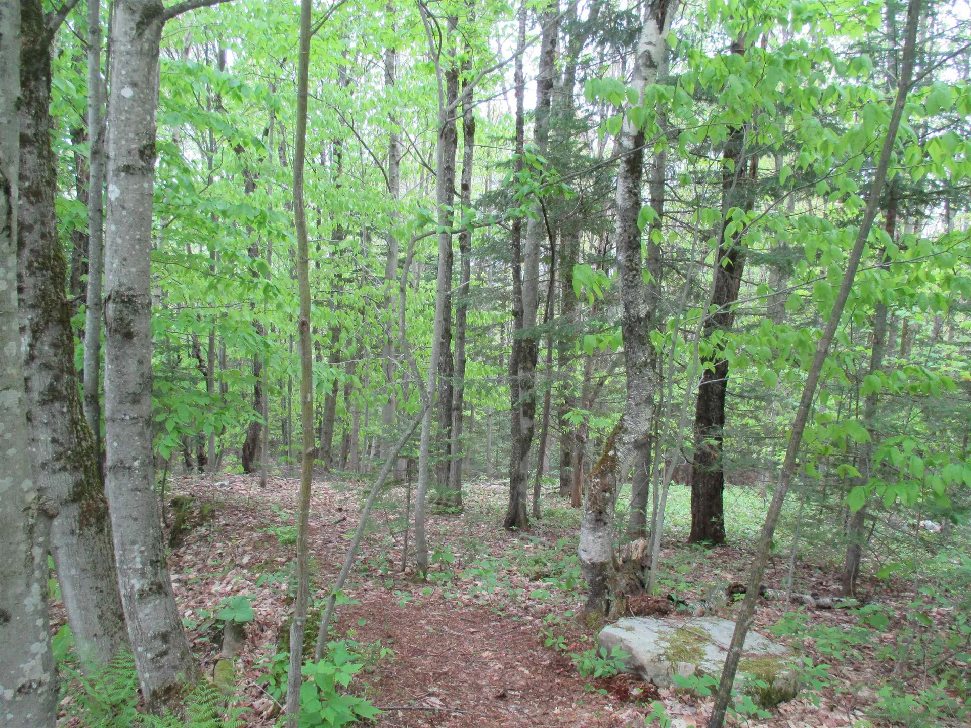 Kettle Farm Road Westfield VT 05874