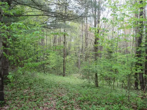 Kettle Farm Road Westfield VT 05874