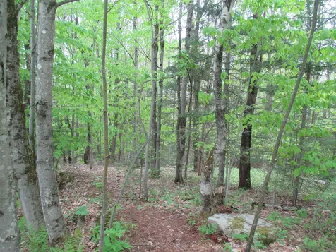 Kettle Farm Road Westfield VT 05874