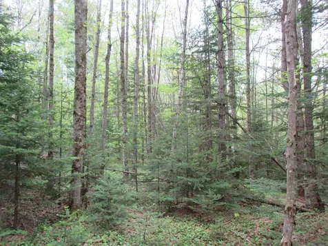 Kettle Farm Road Westfield VT 05874