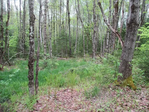 Kettle Farm Road Westfield VT 05874