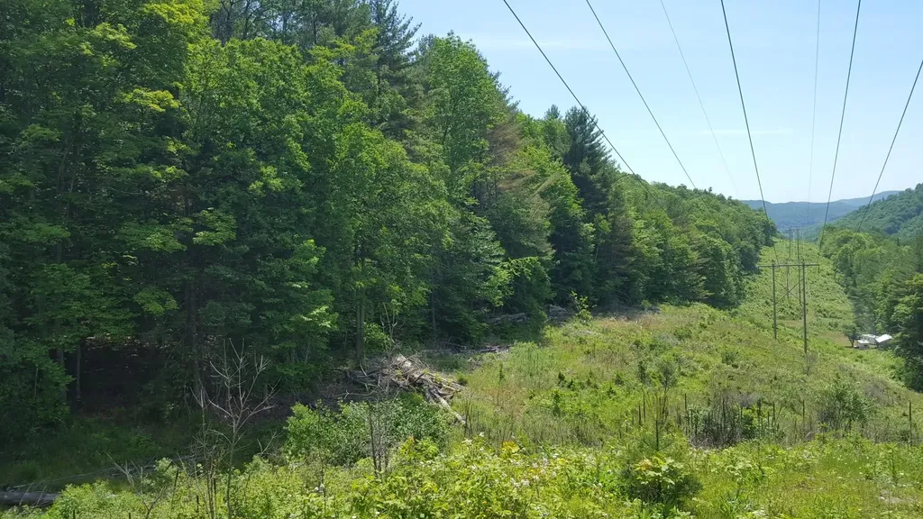522 Justin Morrill Memorial Highway Strafford VT 05072