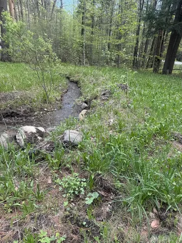 522 Justin Morrill Memorial Highway Strafford VT 05072