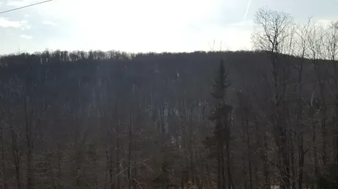 522 Justin Morrill Memorial Highway Strafford VT 05072