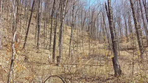 522 Justin Morrill Memorial Highway Strafford VT 05072