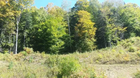 522 Justin Morrill Memorial Highway Strafford VT 05072