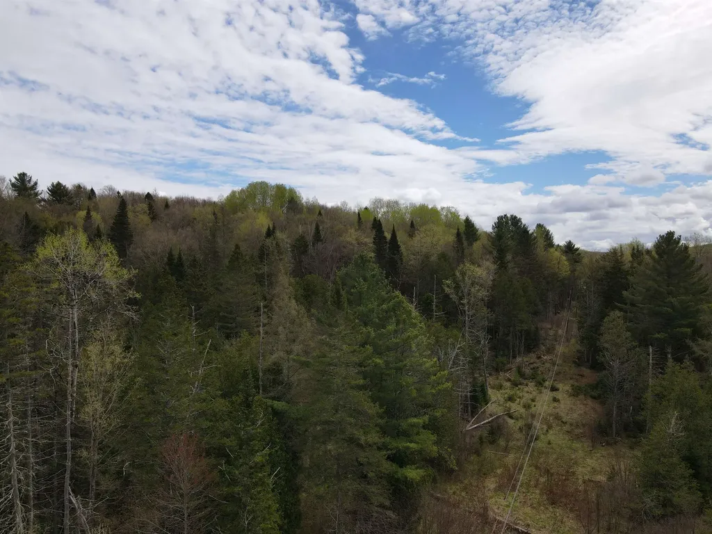 278 King Road Glover VT 05875