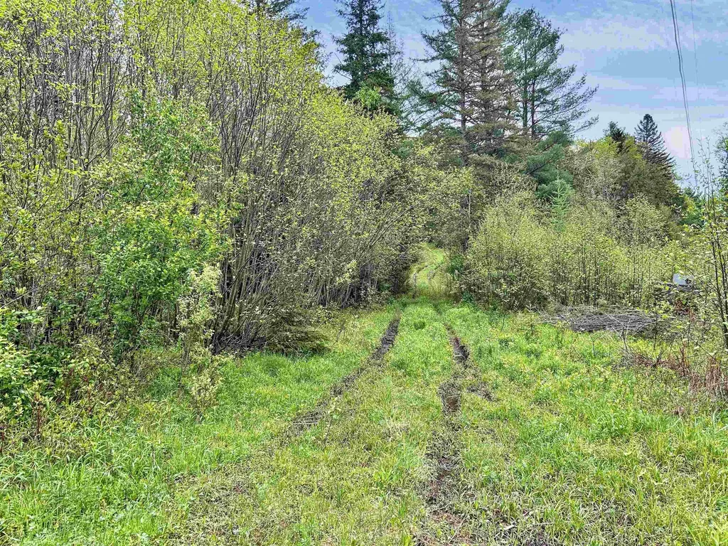 278 King Road Glover VT 05875