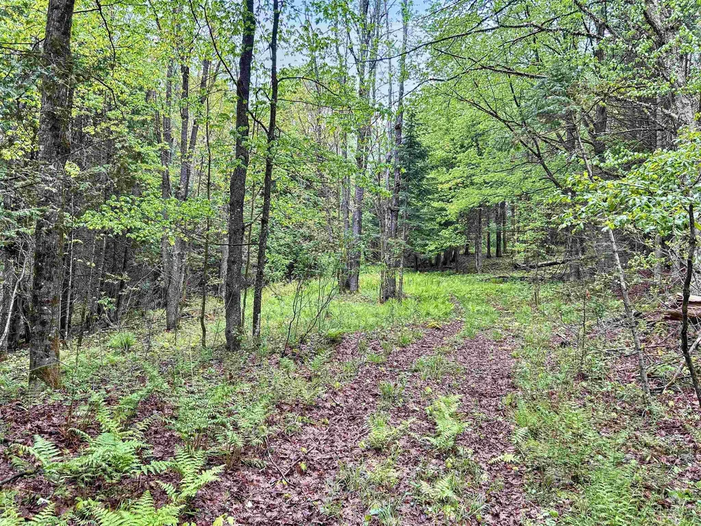 278 King Road Glover VT 05875