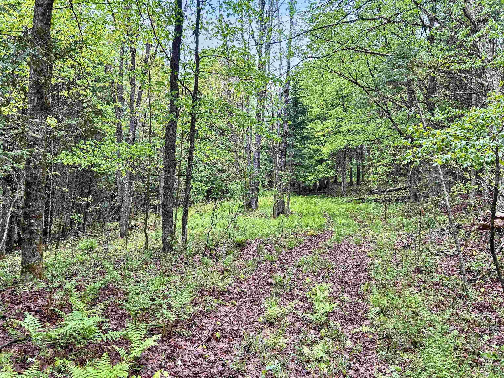 278 King Road Glover VT 05875