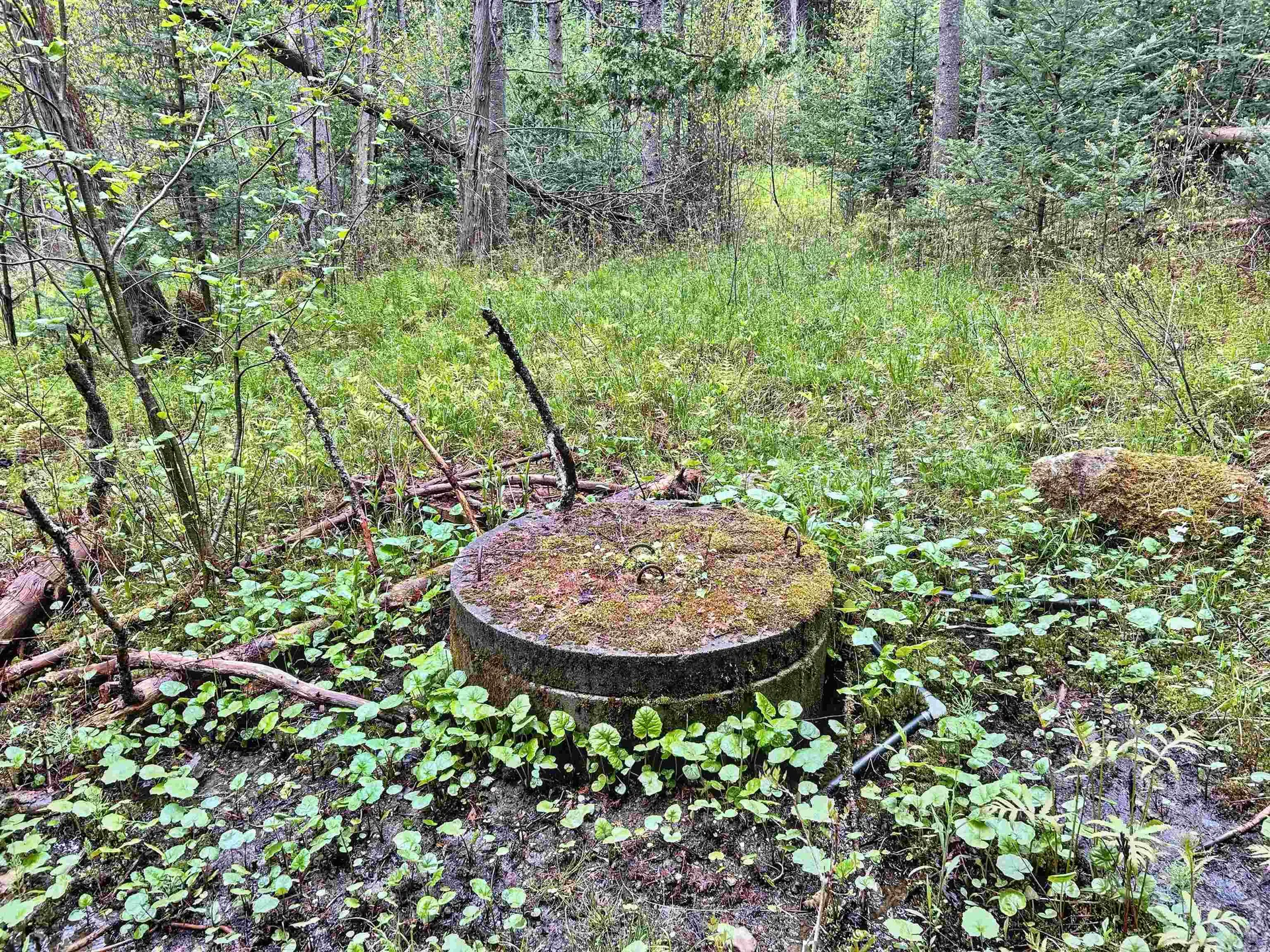 278 King Road Glover VT 05875