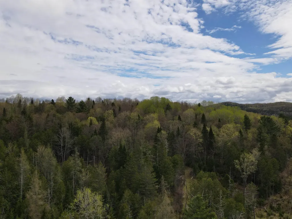 278 King Road Glover VT 05875