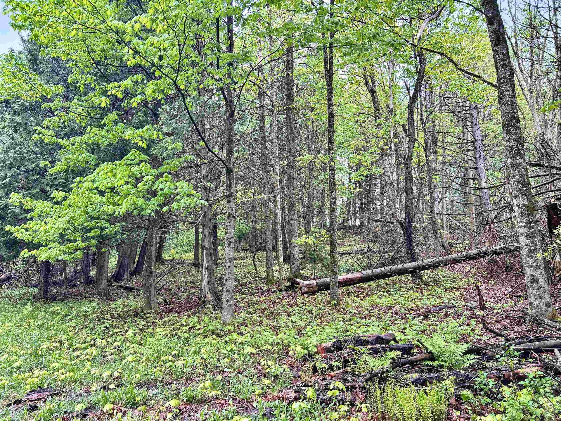 278 King Road Glover VT 05875