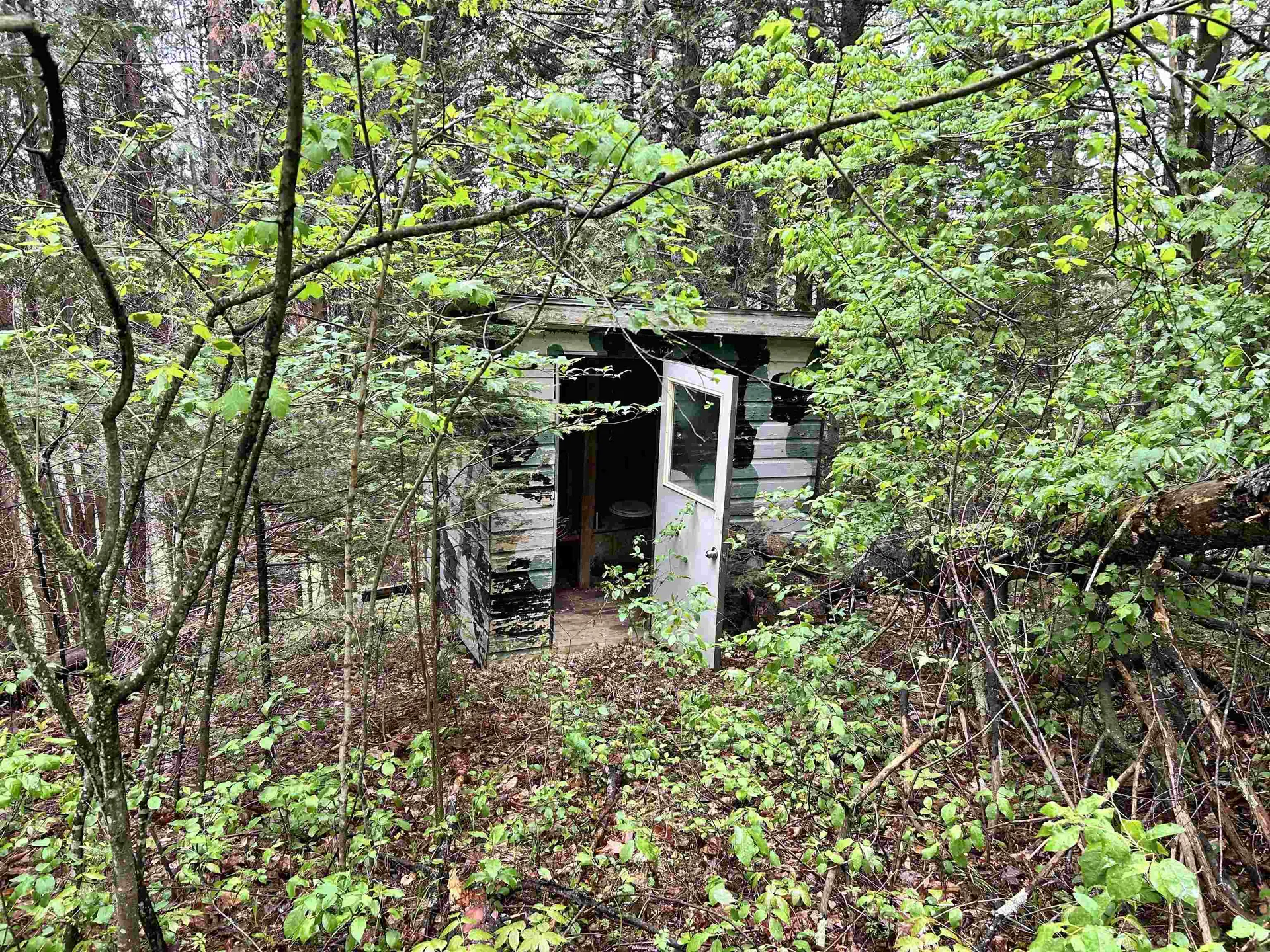 278 King Road Glover VT 05875