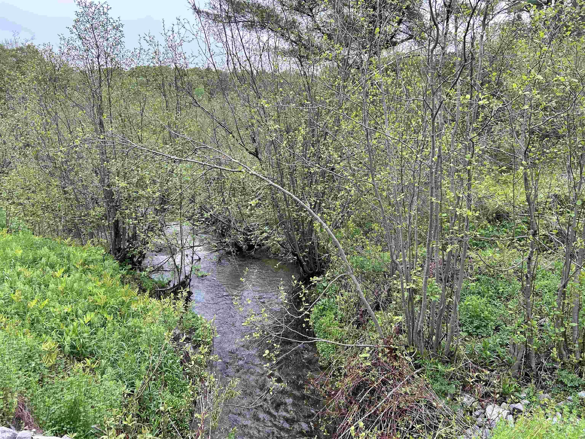 278 King Road Glover VT 05875