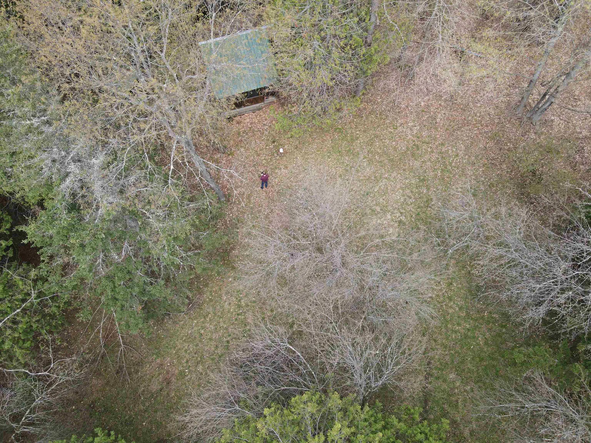 278 King Road Glover VT 05875