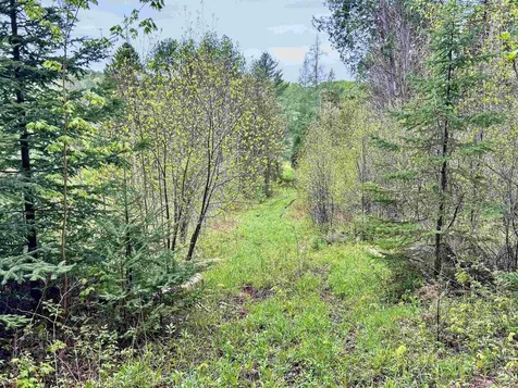 478 King Road Glover VT 05875