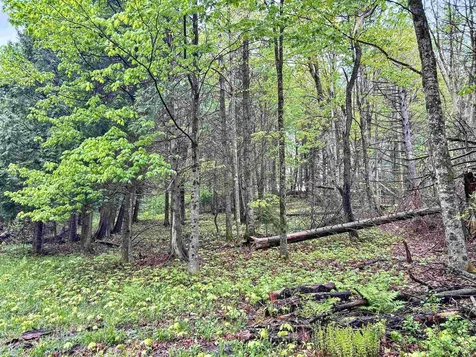 478 King Road Glover VT 05875