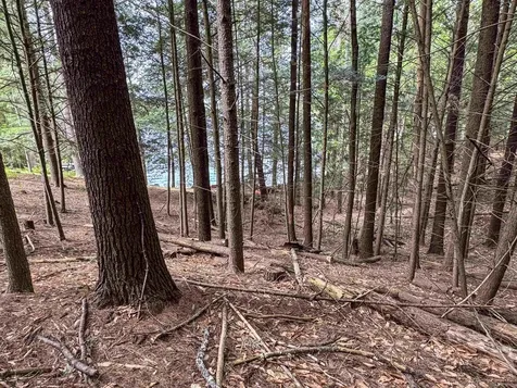 63 Headlands Road Winchester NH 03470