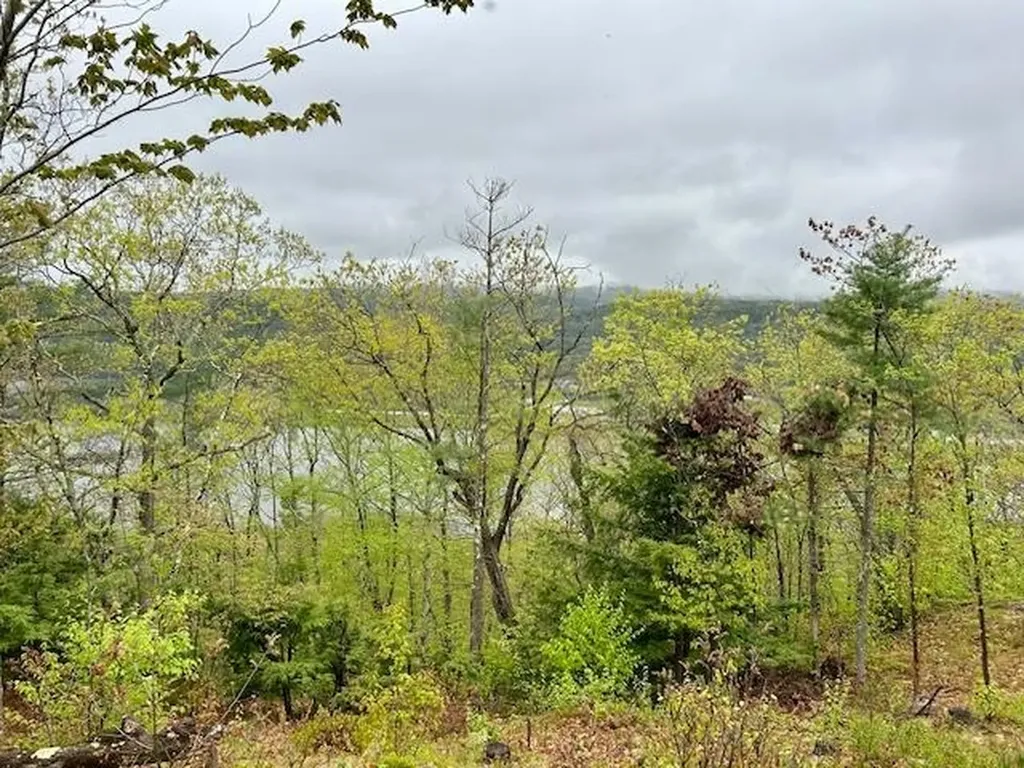 Map 27 Lot 5 Church Street Walpole NH 03608