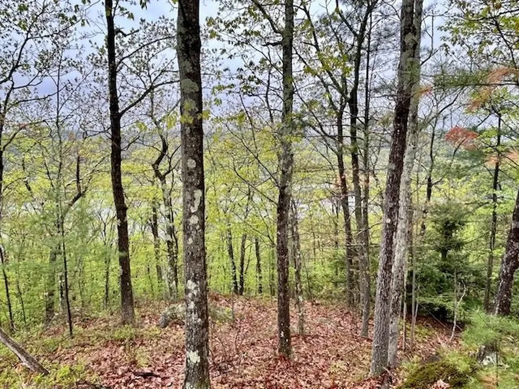 Map 27 Lot 5 Church Street Walpole NH 03608