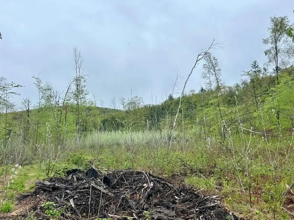 Map 27 Lot 5 Church Street Walpole NH 03608