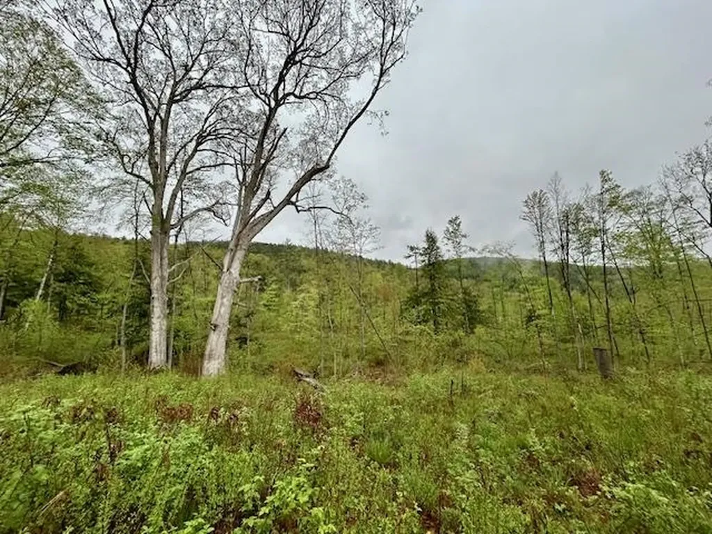 Map 27 Lot 5 Church Street Walpole NH 03608